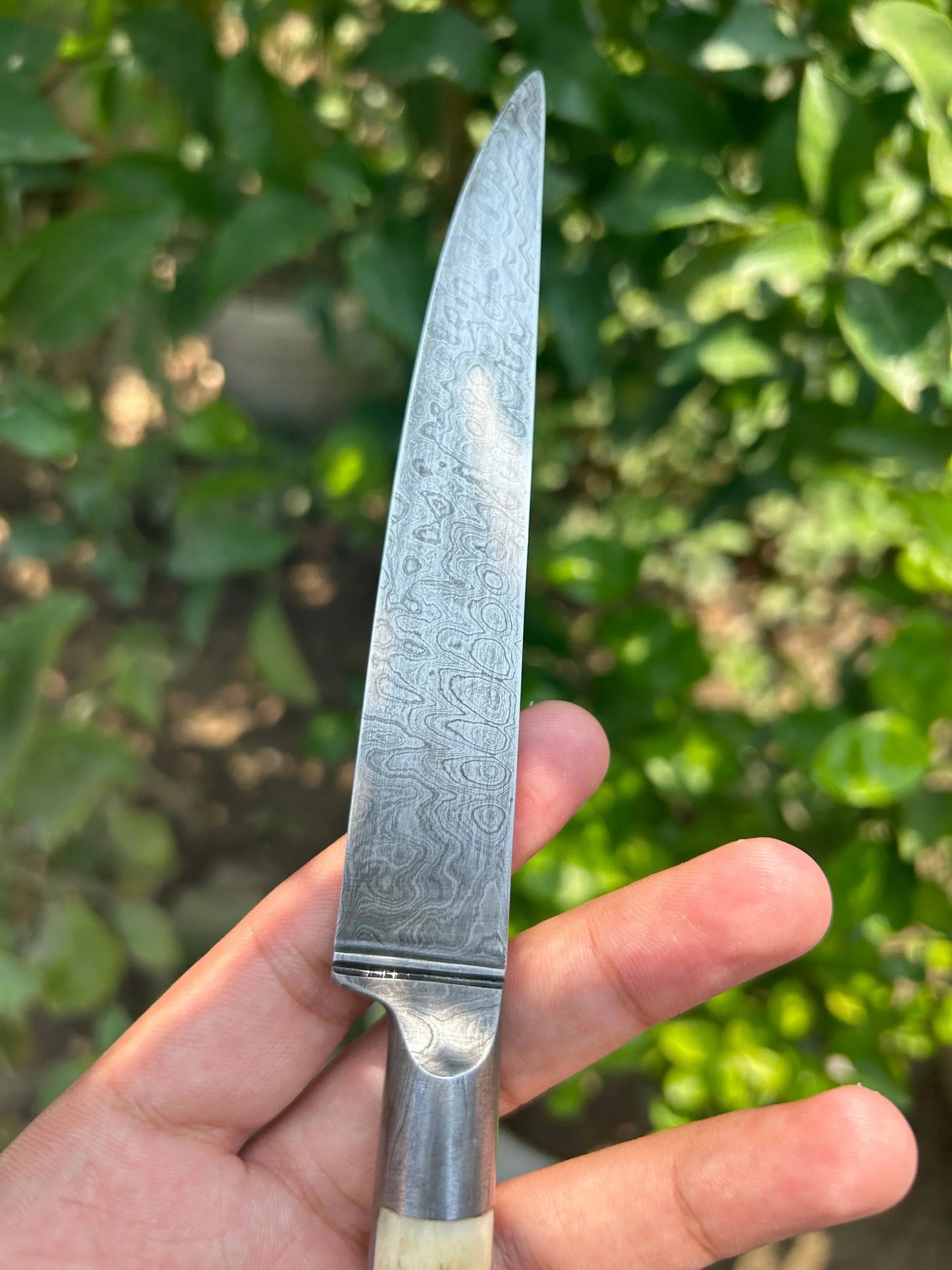 Damascus Kard(10 Inches) - SRI ASDHUJ