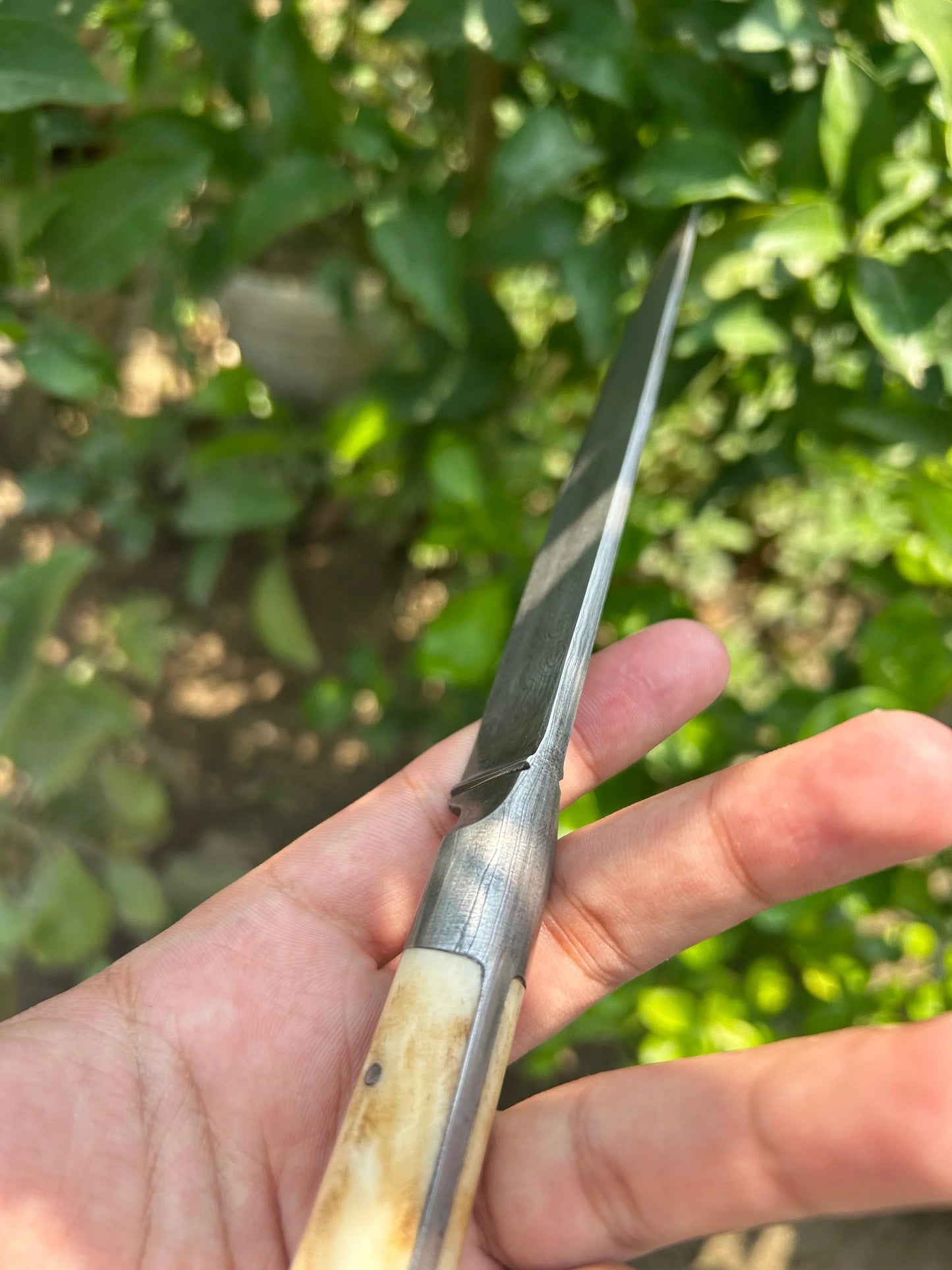 Damascus Kard(10 Inches) - SRI ASDHUJ